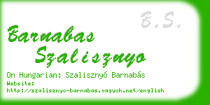 barnabas szalisznyo business card